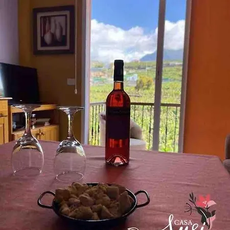 Casa Susi Apartment